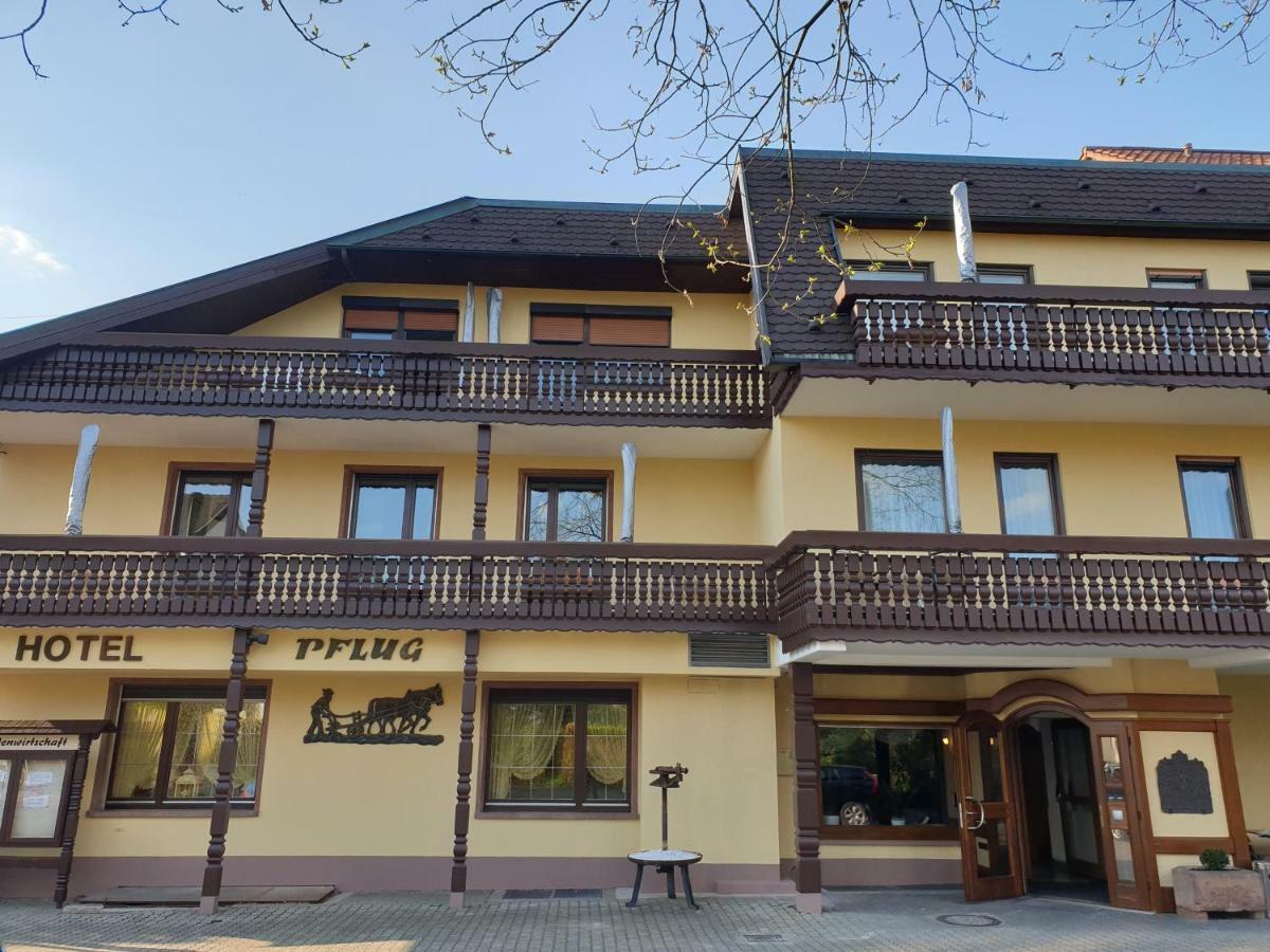 Ringhotel Garni Pflug Oberkirch  Exteriér fotografie